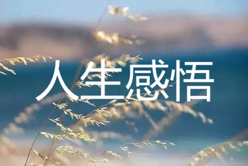 “你给过我多少爱,我就给你回多少爱。”这句话在日常生活中同样适用。今天,我们就来聊聊——生活分享给了谁?爱就给了谁。