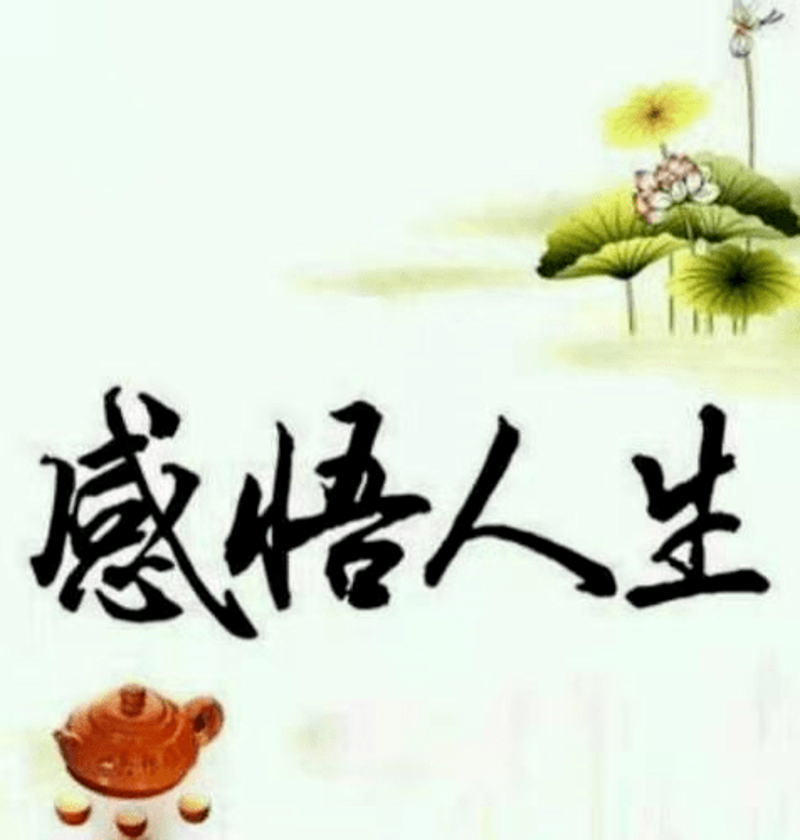 如何用一句话赞美一幅摄影作品？